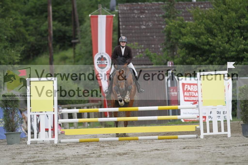 _MG_6461 | equestrian-live-com