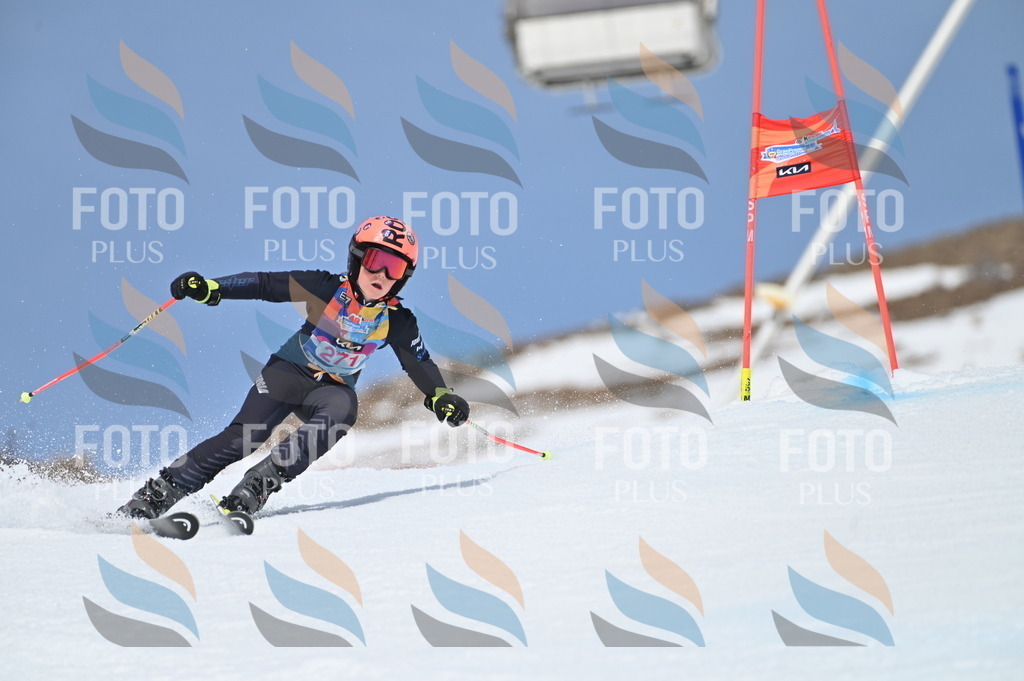 BGV_2268 | holidayphoto