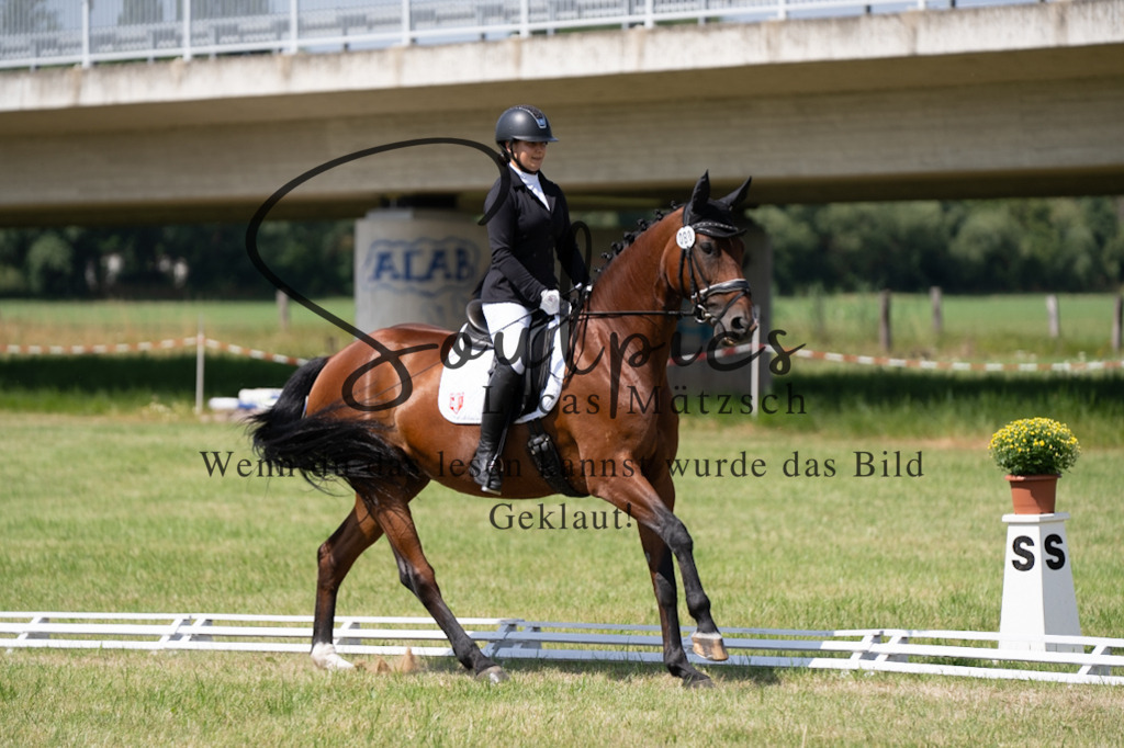 A7V09772 | Pferdefotograf