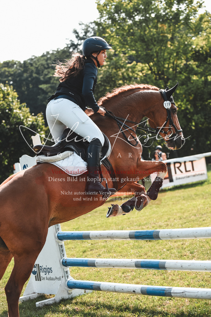 DSC_8918 | Pferde- und Turnierfotografie in Westsachsen. Pferdeportraits, Auftragszeichnungen und intuitive Kunst.