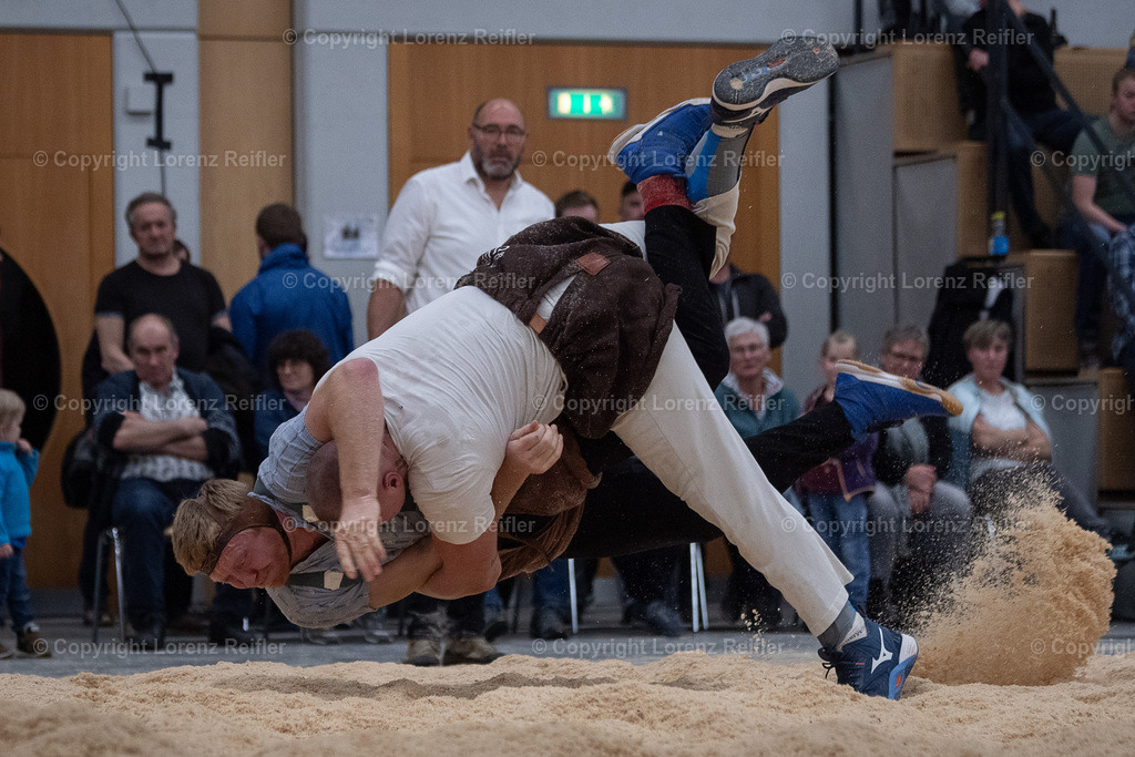 Schwingen -  Lichtmess 2024 | Gais, 3.2.24, Schwingen - Lichtmess.