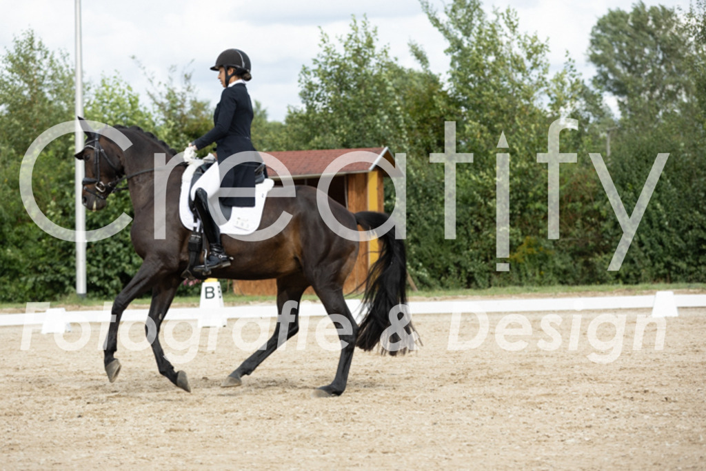 IMG_6756 | Creatify Fotografie