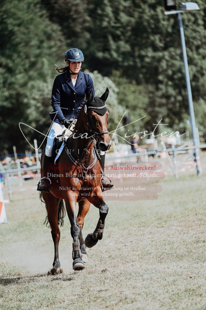DSC_9406 | Pferde- und Turnierfotografie in Westsachsen. Pferdeportraits, Auftragszeichnungen und intuitive Kunst.