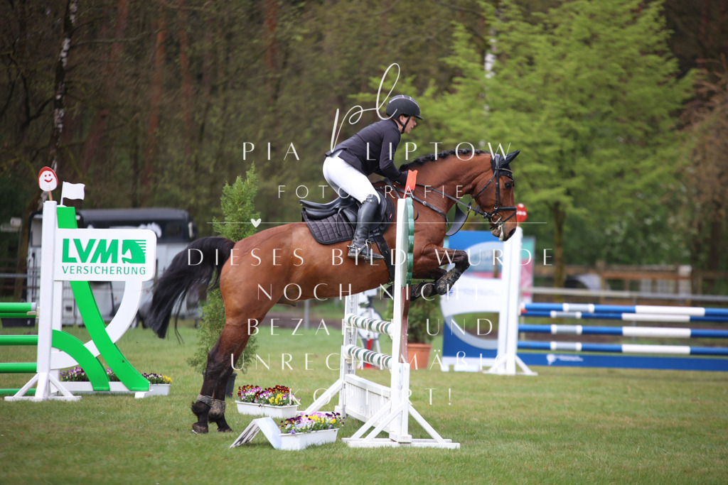 IMGT2866 | pl-fotografie