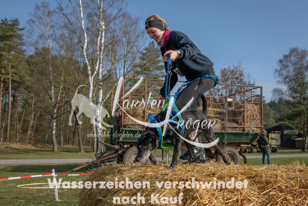 _ZZ93815 | kk-dogfotos