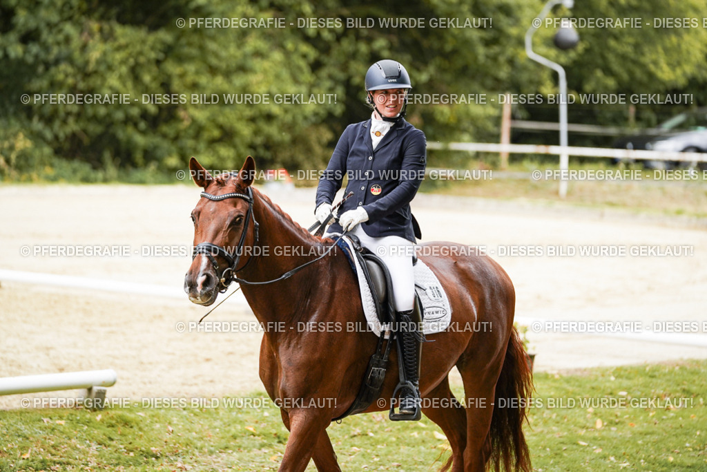 DSC09530 | Pferdegrafie