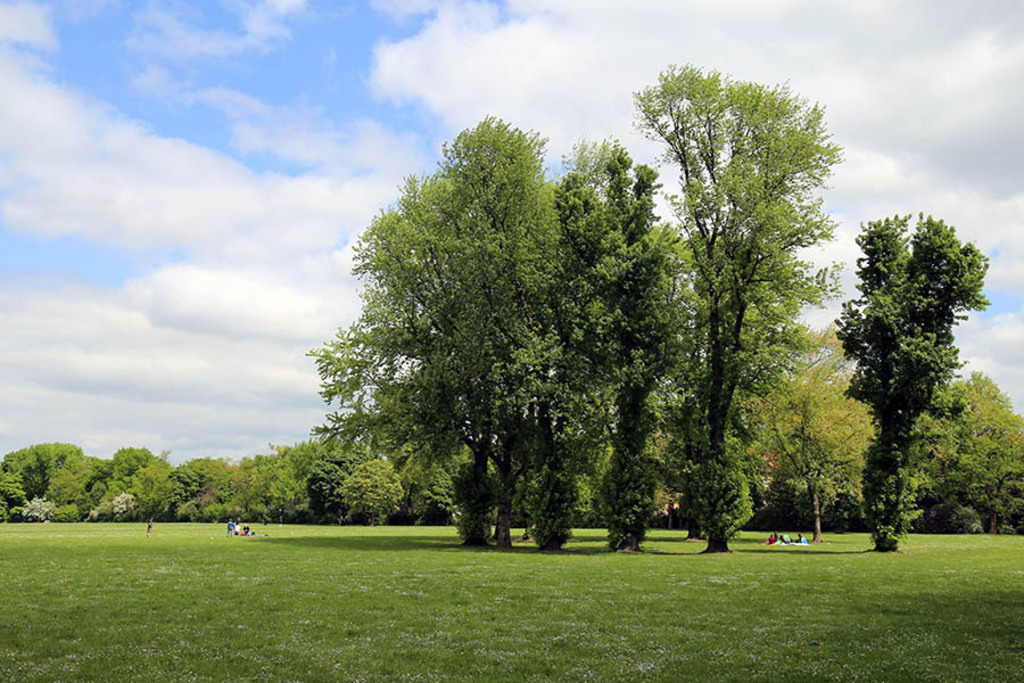 Mariannenpark | Das Team hinter BILDLEXIKON LEIPZIG bündelt historische wie aktuelle Informationen über die Stadt Leipzig in Text und Bild auf einer Plattform und stellt diese der interessierten Öffentlichkeit zur Verfügung.