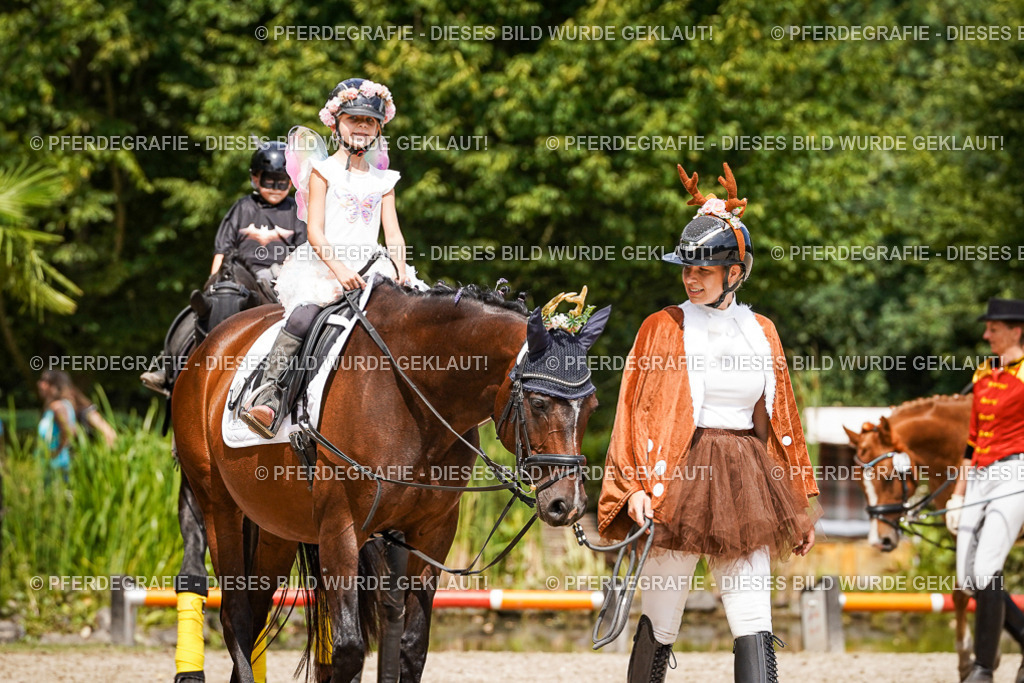 DSC03002 | Pferdegrafie