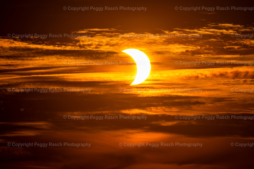 Sonnenfinsternis -2026_groß3-1 | PeggyRaschPhotography - Realisiert mit Pictrs.com