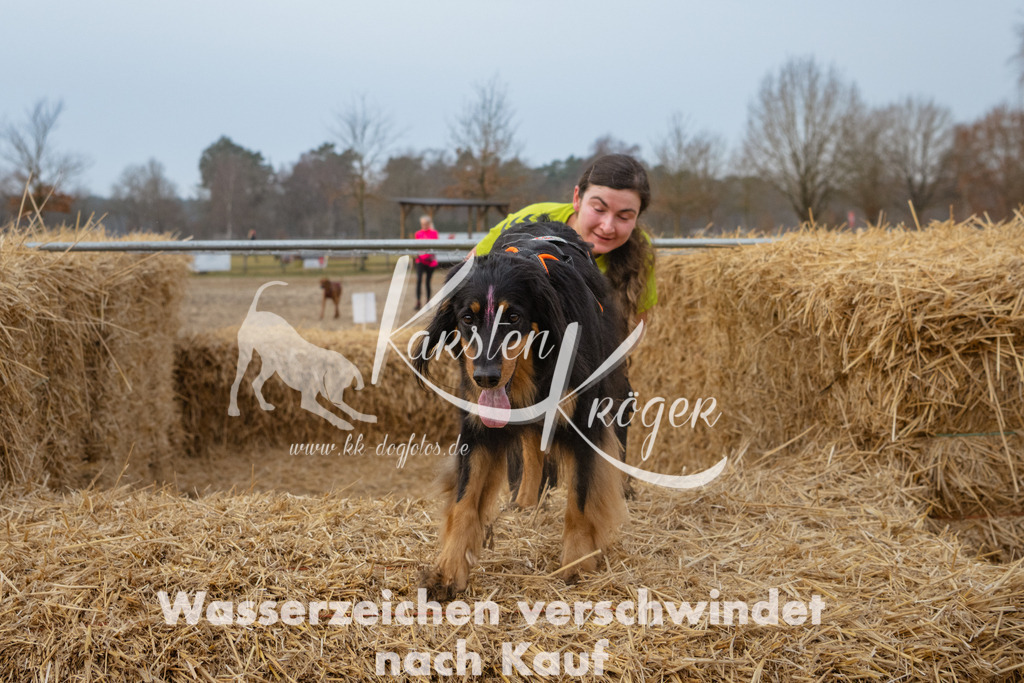 0825_ZZ92894 | kk-dogfotos