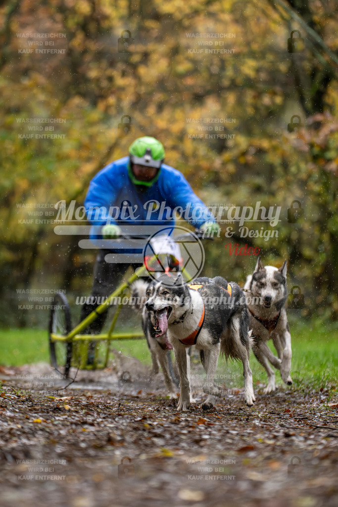 MompixPhotography_Bischwiller23_Kart-8 | PayLife