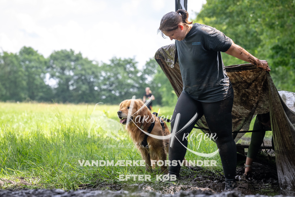 1242_ZZ93166 | kk-dogfotos