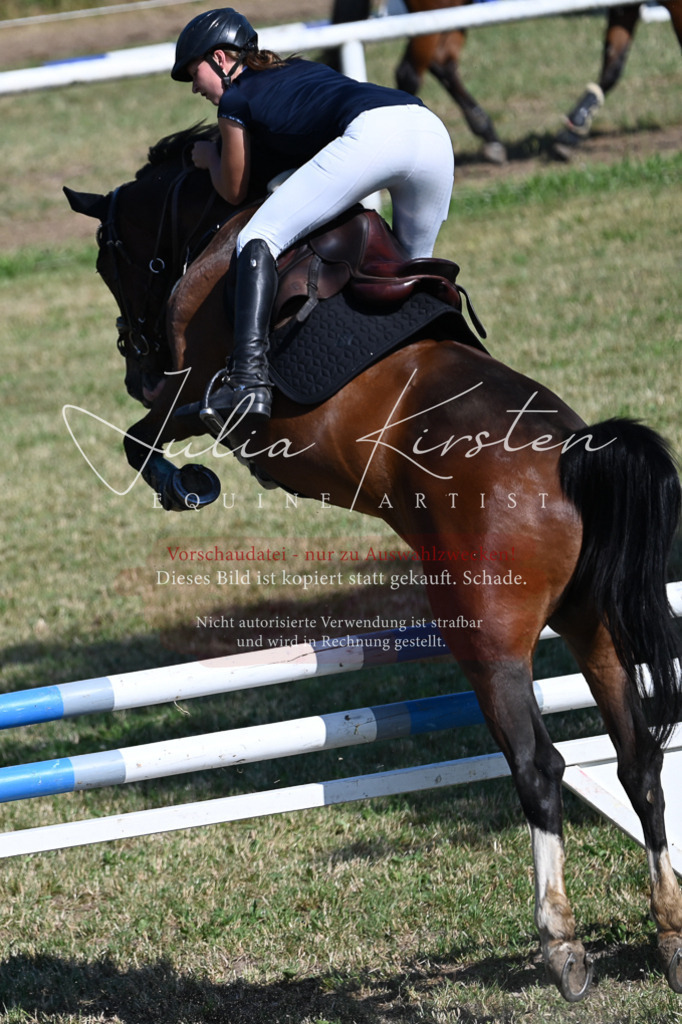 DSC_2034 | Pferde- und Turnierfotografie in Westsachsen. Pferdeportraits, Auftragszeichnungen und intuitive Kunst.