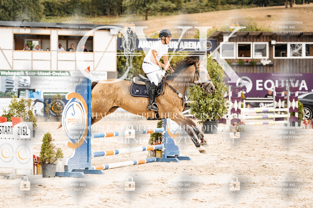 CK908738 | Turnierfotografie Pferdefotografie Trier Rheinland-Pfalz Pferdesport Reitsport Tierfotografie Sportfotografie Pferdevideo Pferdevideografie Equestrianvideography equestrianphotography  - Realisiert mit Pictrs.com