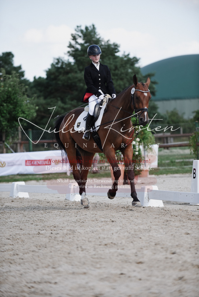 DSC_9948 | Pferde- und Turnierfotografie in Westsachsen. Pferdeportraits, Auftragszeichnungen und intuitive Kunst.