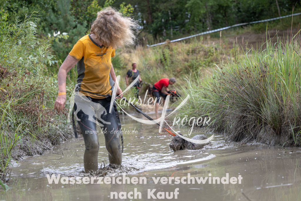 1250_ZZ91549 | kk-dogfotos