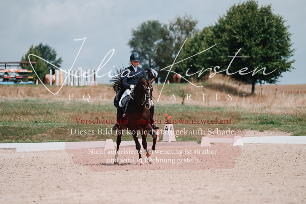 DSC_3943 | Pferde- und Turnierfotografie in Westsachsen. Pferdeportraits, Auftragszeichnungen und intuitive Kunst.