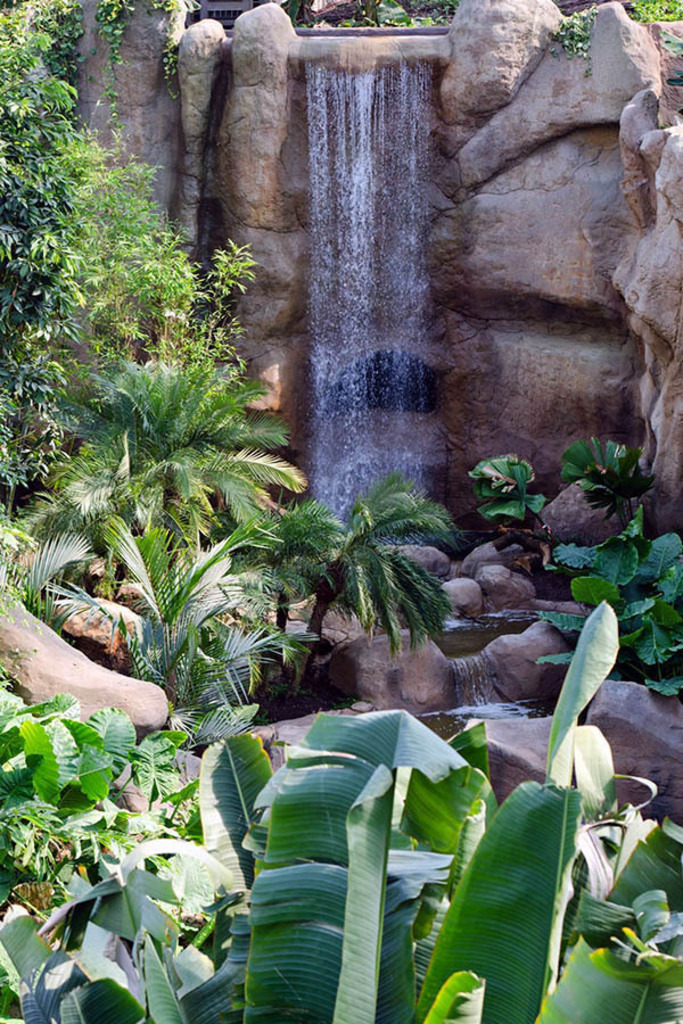 Gondwanaland im Zoo Leipzig | Das Team hinter BILDLEXIKON LEIPZIG bündelt historische wie aktuelle Informationen über die Stadt Leipzig in Text und Bild auf einer Plattform und stellt diese der interessierten Öffentlichkeit zur Verfügung.