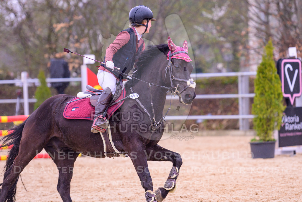12042026-Mammendorf-Prfg41-0356 | Fokus Hufschlag Fotografie - Realisiert mit Pictrs.com
