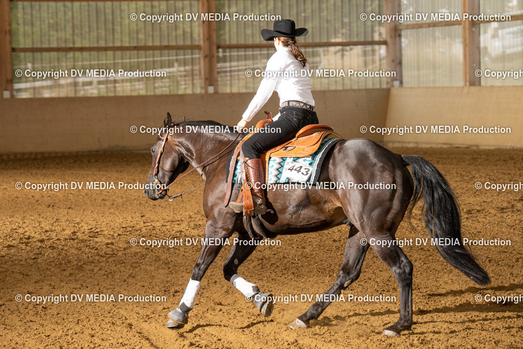 LAU01446 | dv-media-shop - Realisiert mit Pictrs.com