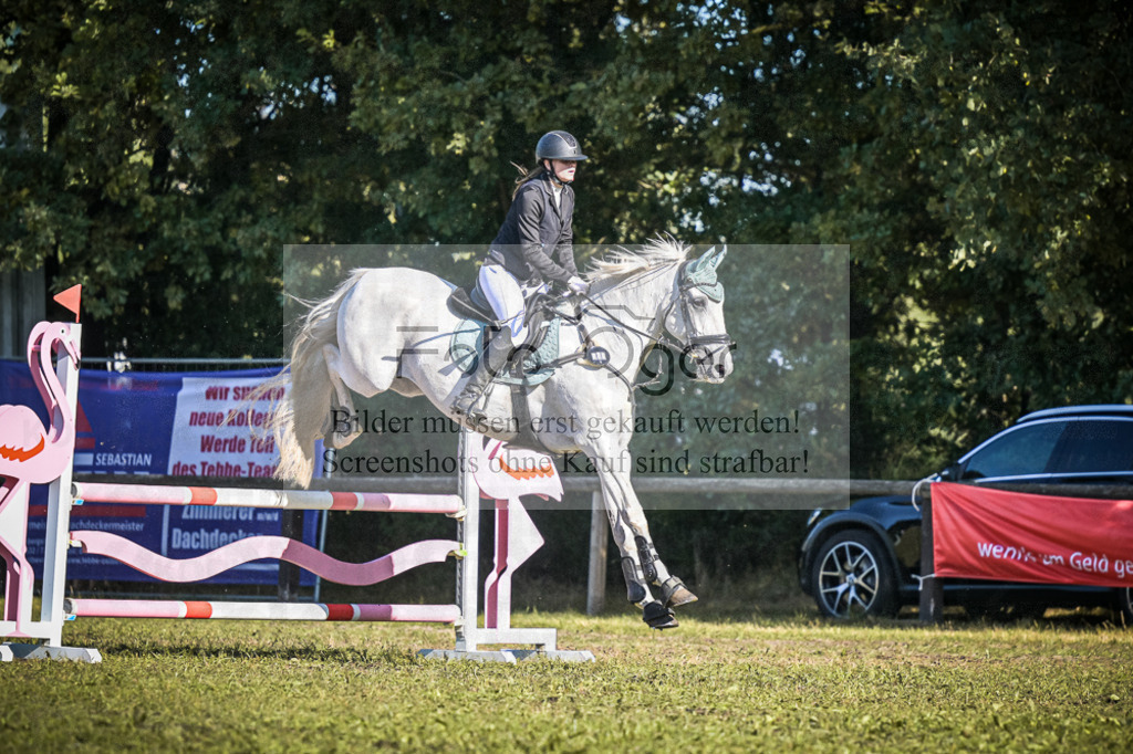 DOS_1029 | Entdecke hochwertige Reitturnierfotos von Foto Oger. Professionell, emotional und authentisch – jetzt Lieblingsmomente im Shop bestellen.Deutschlandweite Turnierfotografie. - Realisiert mit Pictrs.com