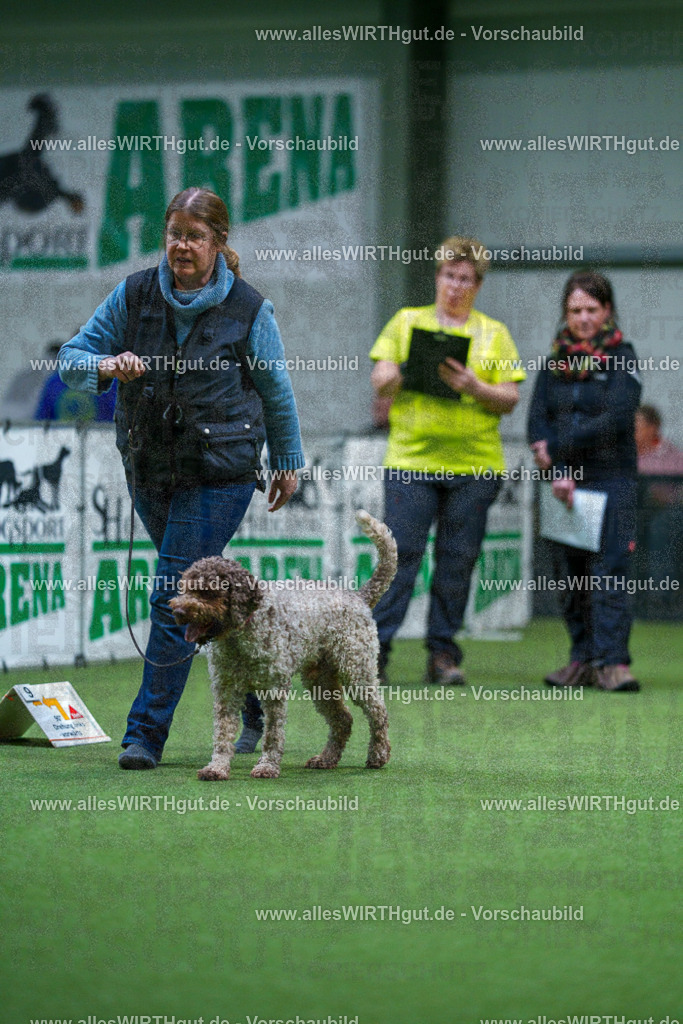 7R503068 | Professionelle Tierfotografie in Mönchengladbach von Daniel Wirth (allesWIRTHgut). Liebevolle & natürliche Bilder von Hunden & Katzen für unvergessliche Erinnerungen.