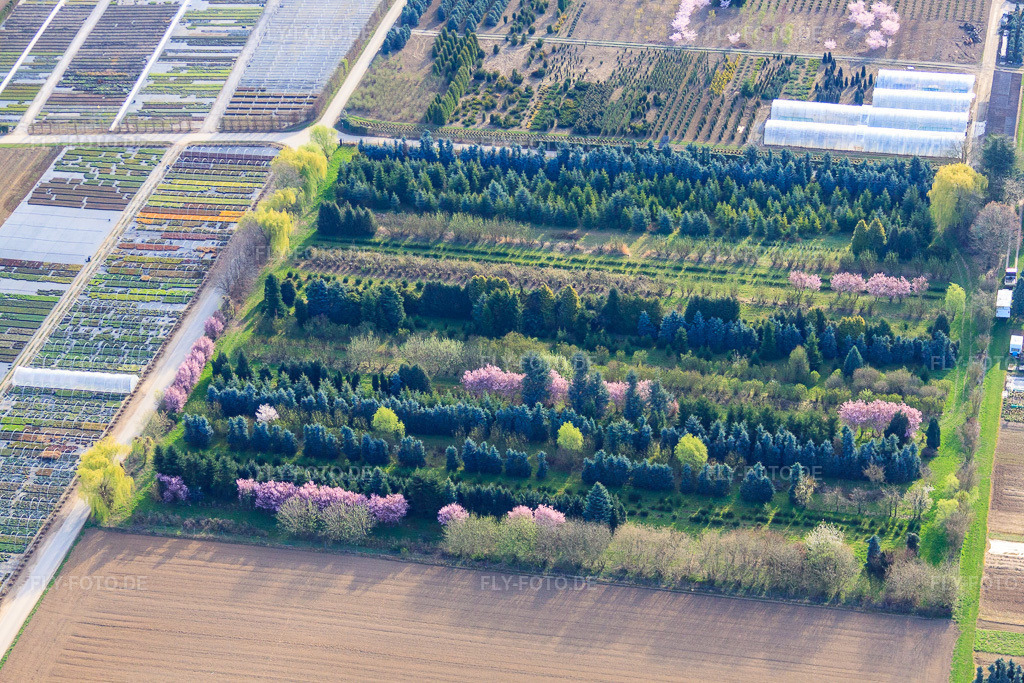 Luftbild: Baumschule Schillinger H.-J. und S., Gröninger Weg in Möglingen im Bundesland Baden-Württemberg in Deutschland. Foto: IMG_39359.jpg vom 03.04.2011 durch Werner Riehm/FLY-FOTO.de