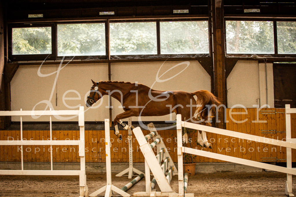 2FS_L00095 | Leoni Ertmer Photography - Realisiert mit Pictrs.com