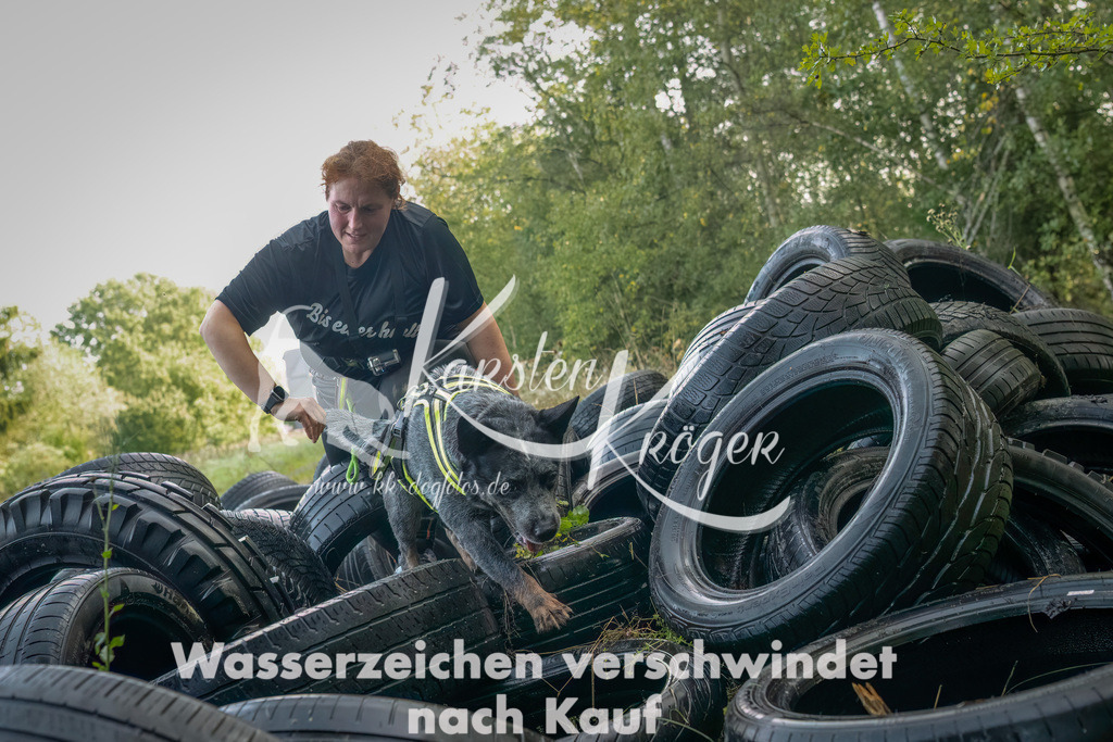 1048_ZZ90501-Bearbeitet | kk-dogfotos