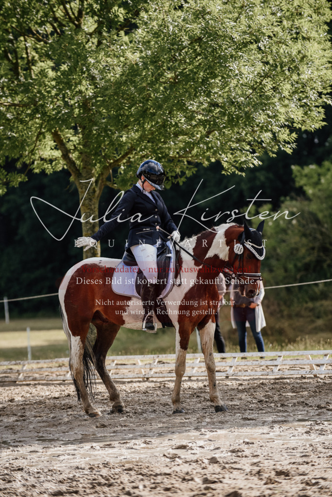 DSC_8821 | Pferde- und Turnierfotografie in Westsachsen. Pferdeportraits, Auftragszeichnungen und intuitive Kunst.