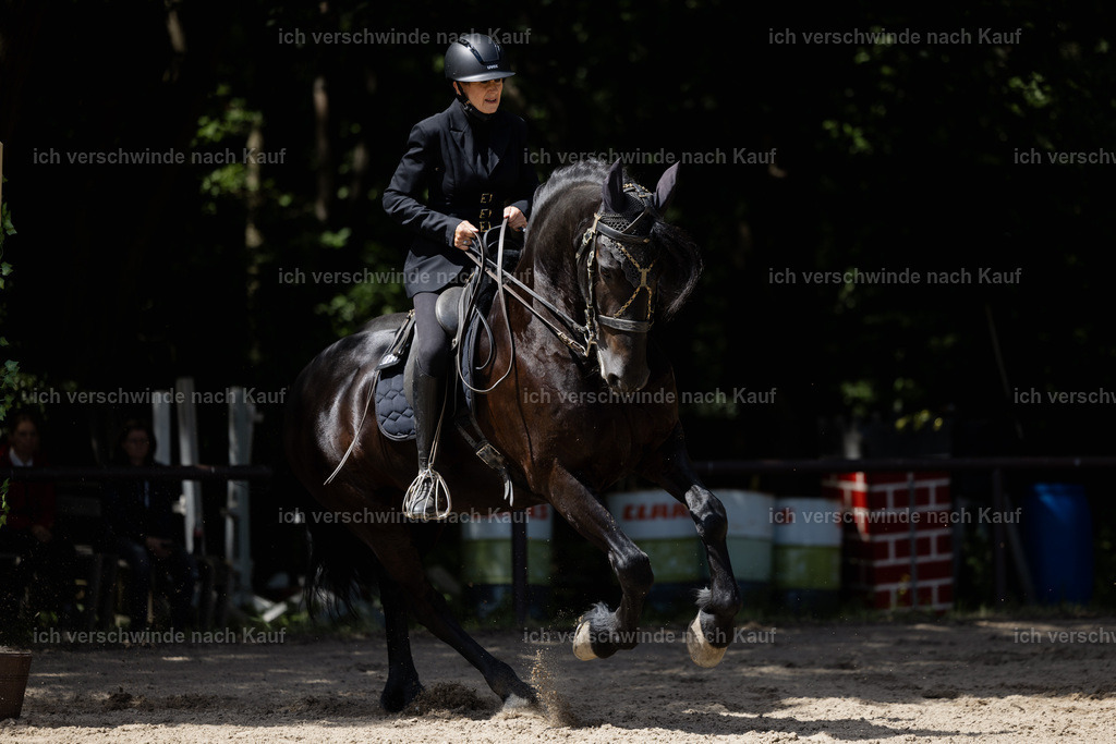 KlasseM_stoibphotography_C2_C9021.CR3 | working equitationturnier fotograf videograf stoibphotography marixx film working equitation deutschland reitsport turnierfotografie eventfotografie equestrian events