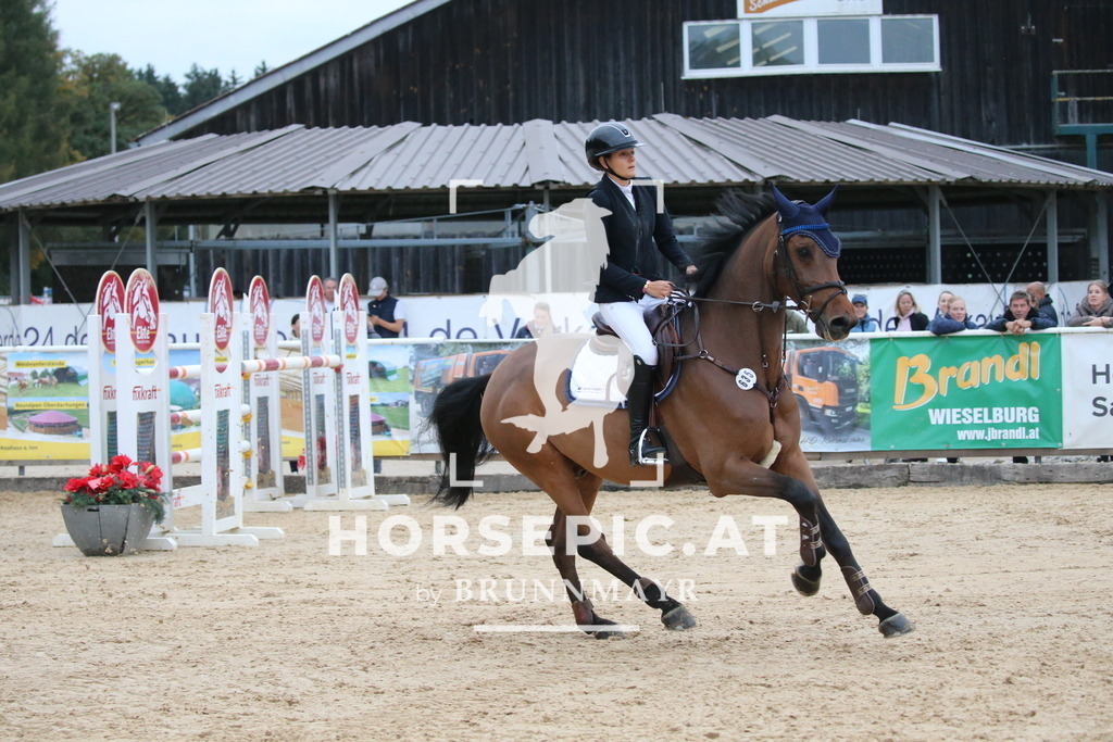 DL2Q6501 | Willkommen bei Brunnmayr - Design & Fotografie – Ihrem Spezialisten für Reitturniere und Pferdeveranstaltungen in Oberösterreich, Salzburg und Bayern! Seit über 17 Jahren sind wir leidenschaftlich dabei.