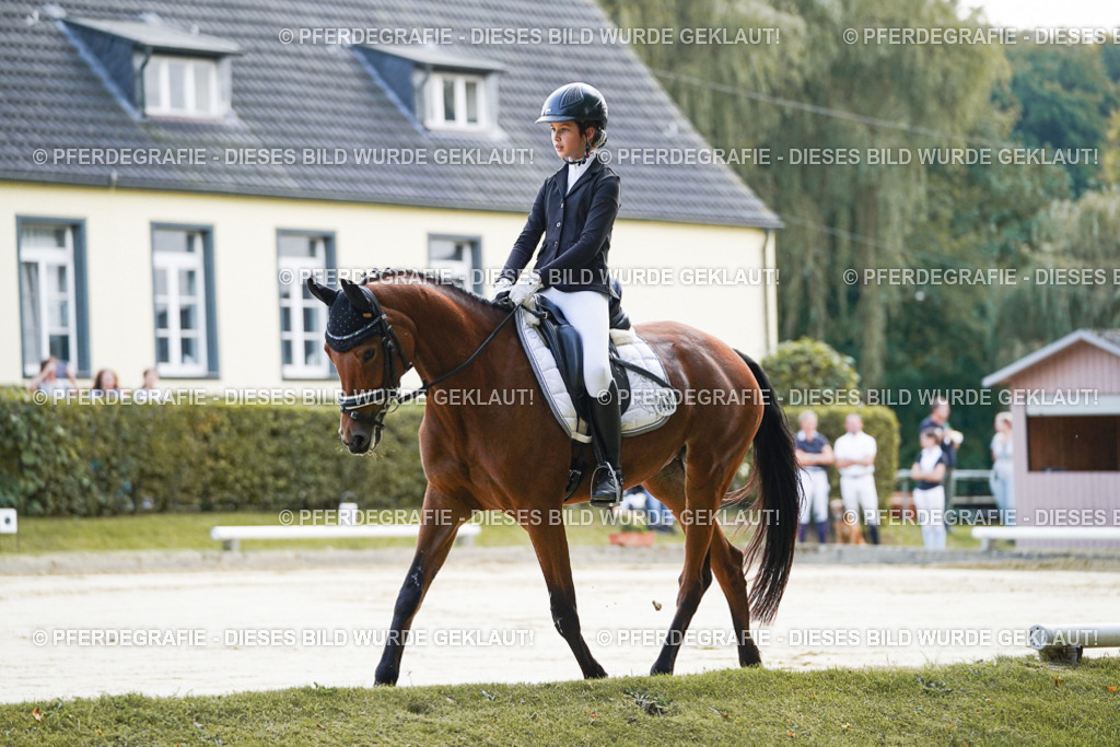 DSC05310 | Pferdegrafie