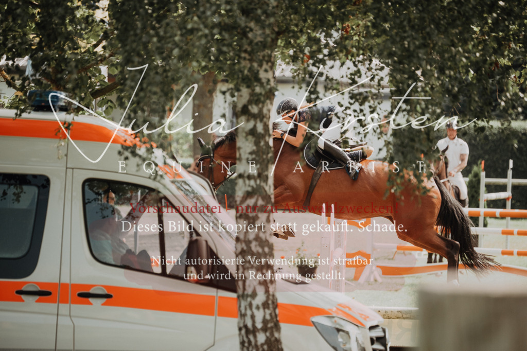 DSC_0968 | Pferde- und Turnierfotografie in Westsachsen. Pferdeportraits, Auftragszeichnungen und intuitive Kunst.