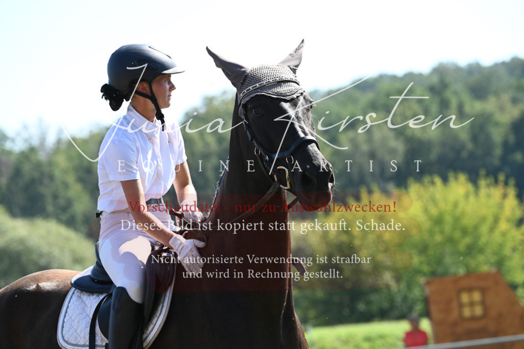 DSC_6491 | Pferde- und Turnierfotografie in Westsachsen. Pferdeportraits, Auftragszeichnungen und intuitive Kunst.