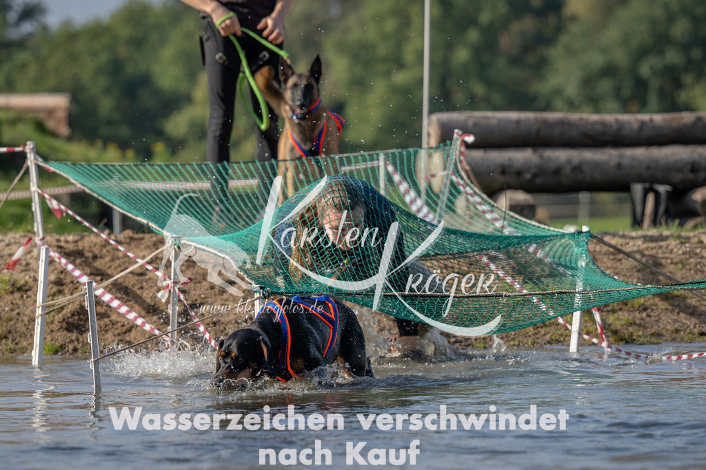 1103_ZZ91211 | kk-dogfotos