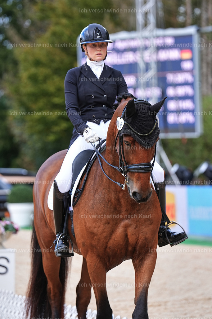 07-189-DRESSUR  S___  -Marixx-5153 | working equitationturnier fotograf videograf stoibphotography marixx film working equitation deutschland reitsport turnierfotografie eventfotografie equestrian events