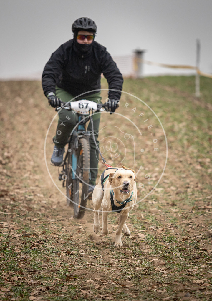 Pfotenfotografie_DV3A2937 | Hundefotografie, Tierfotograf, Pfotenfotografie, Fotoshooting Hund, Hunde Portrait, Hundesport, Hundeportraits, Heideshooting, Hunde, Sportfotograf, Hundefotograf, Turnierhundsport, THS,  - Realisiert mit Pictrs.com