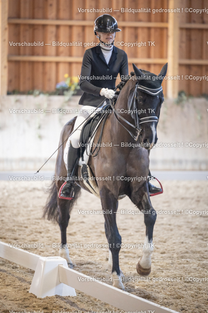 _D5A1789 | Emotionale Pferde- & People-Fotografie rund um Heidelberg, Leimen & Umgebung. Natürliche Fotos von Pferd, Mensch & Familie. Jetzt Termin sichern!