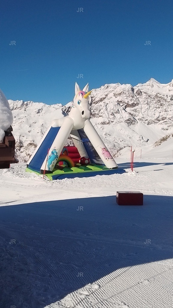 IMG_20250203_102918 | zermatt-wallis-berge-und-mehr - Realisiert mit Pictrs.com