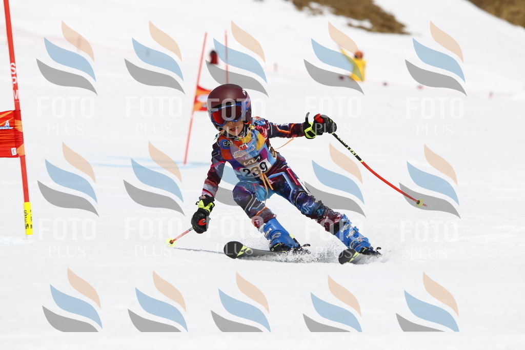 _U3G6081 | holidayphoto