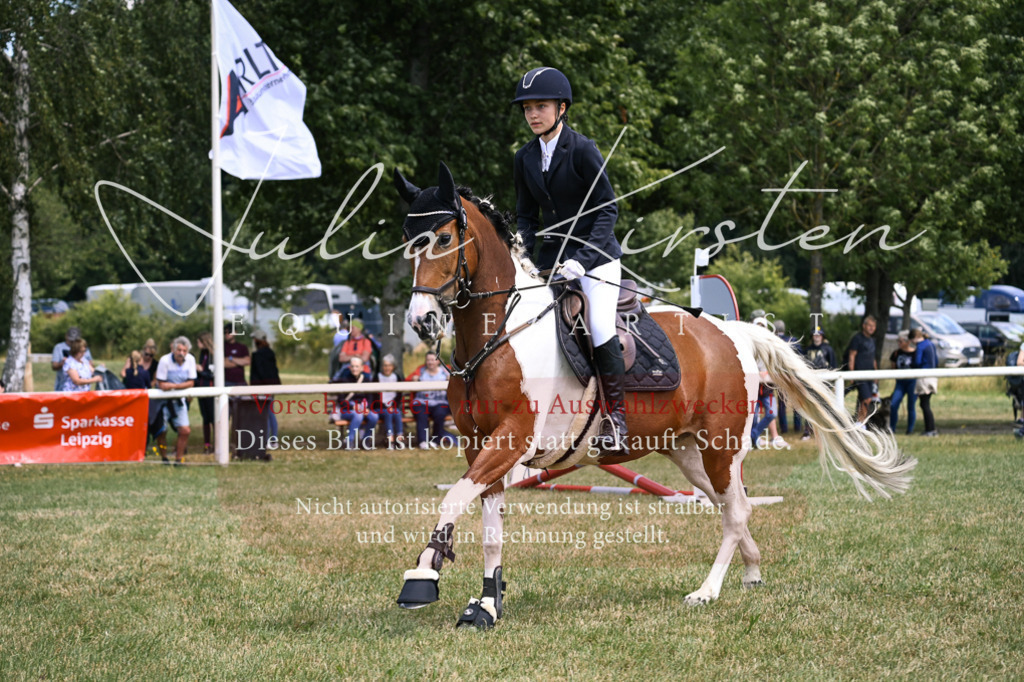 DSC_9340 | Pferde- und Turnierfotografie in Westsachsen. Pferdeportraits, Auftragszeichnungen und intuitive Kunst.