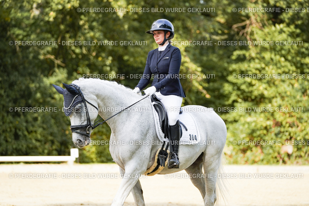 DSC02518 | Pferdegrafie