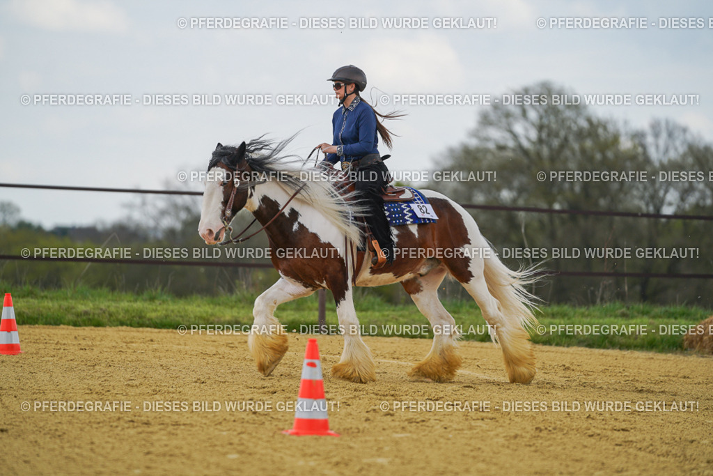 DSC05998 | Pferdegrafie