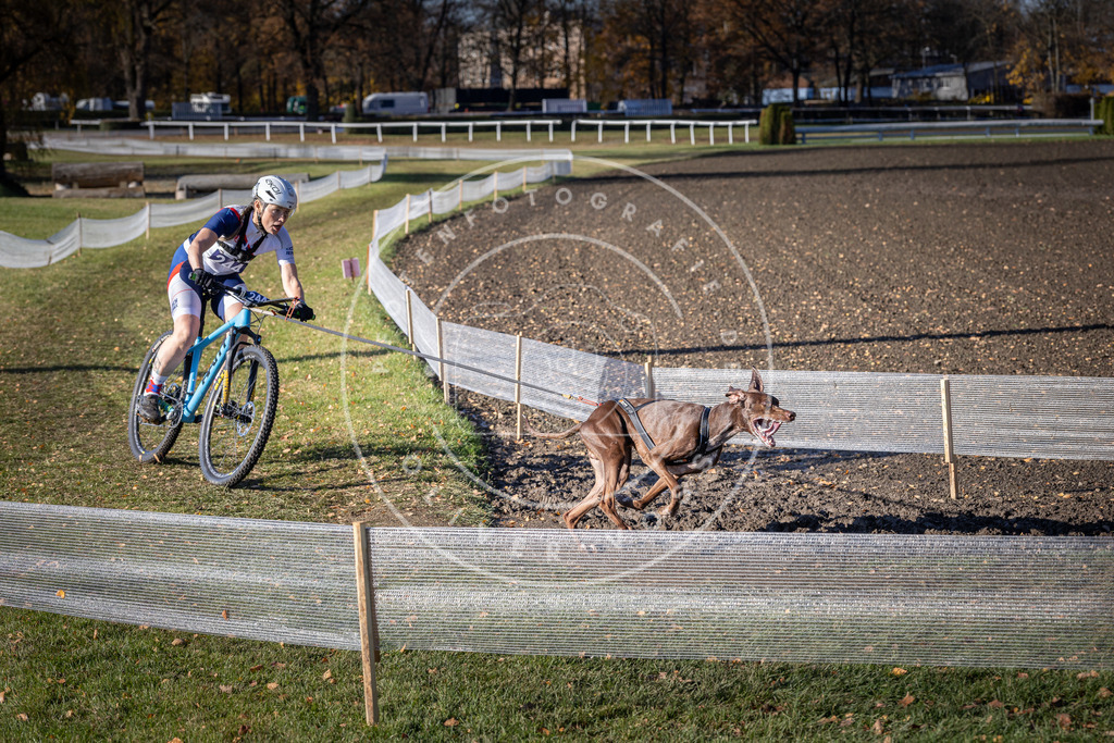 CaniXpix_DV3A4401 | Hundefotografie, Tierfotograf, Pfotenfotografie, Fotoshooting Hund, Hunde Portrait, Hundesport, Hundeportraits, Heideshooting, Hunde, Sportfotograf, Hundefotograf, Turnierhundsport, THS,  - Realisiert mit Pictrs.com