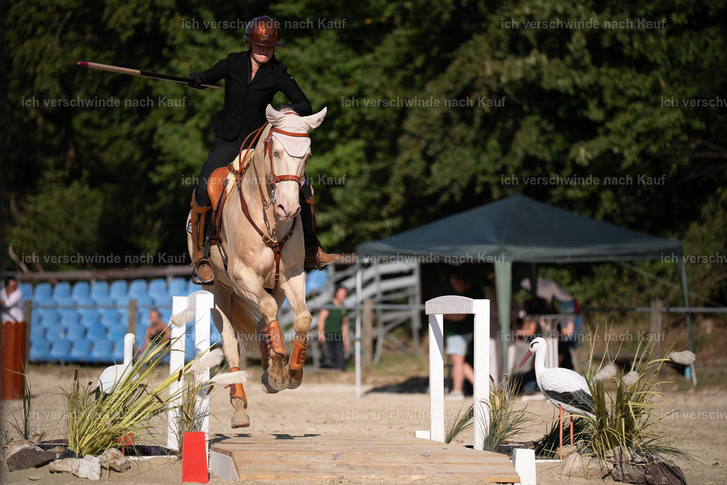 WS_SP_65_Stoibphotography_SO12082 | working equitationturnier fotograf videograf stoibphotography marixx film working equitation deutschland reitsport turnierfotografie eventfotografie equestrian events