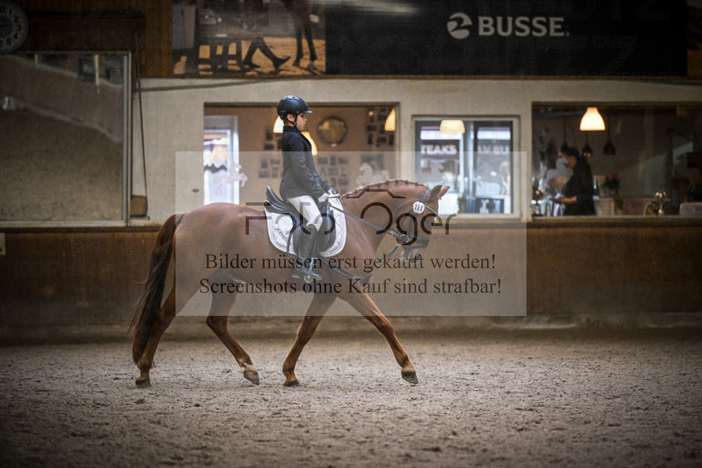 DOS_1278 | Entdecke hochwertige Reitturnierfotos von Foto Oger. Professionell, emotional und authentisch – jetzt Lieblingsmomente im Shop bestellen.Deutschlandweite Turnierfotografie. - Realisiert mit Pictrs.com