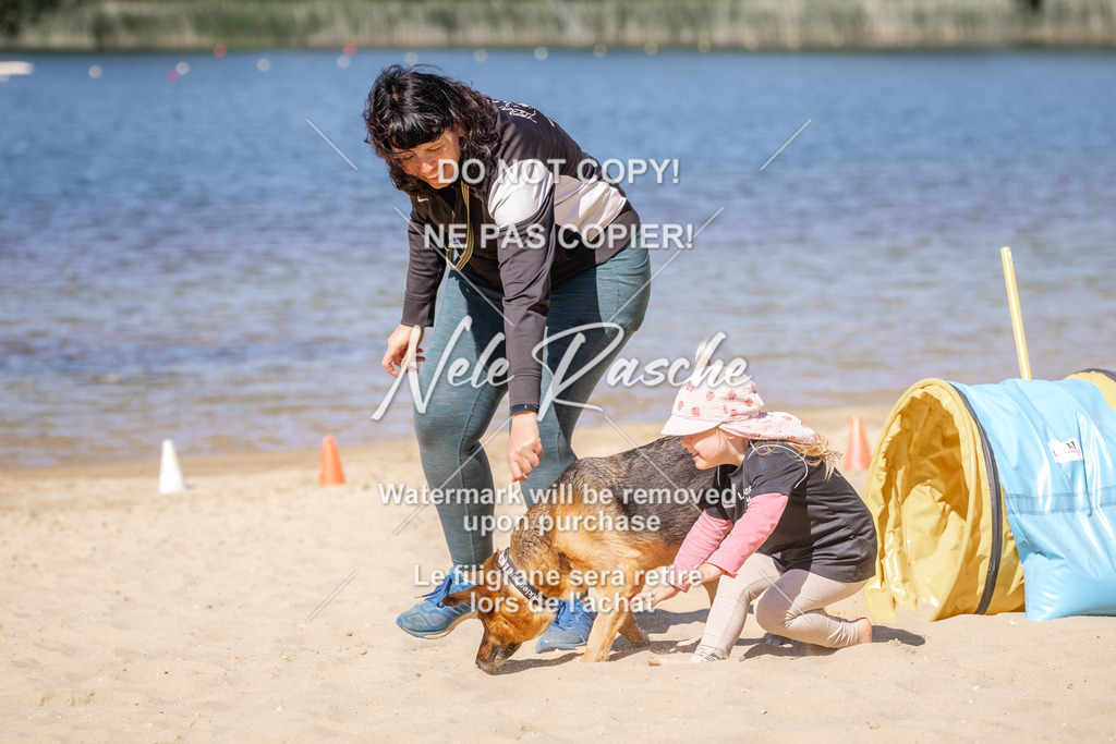 NR__1091 | nelerasche
