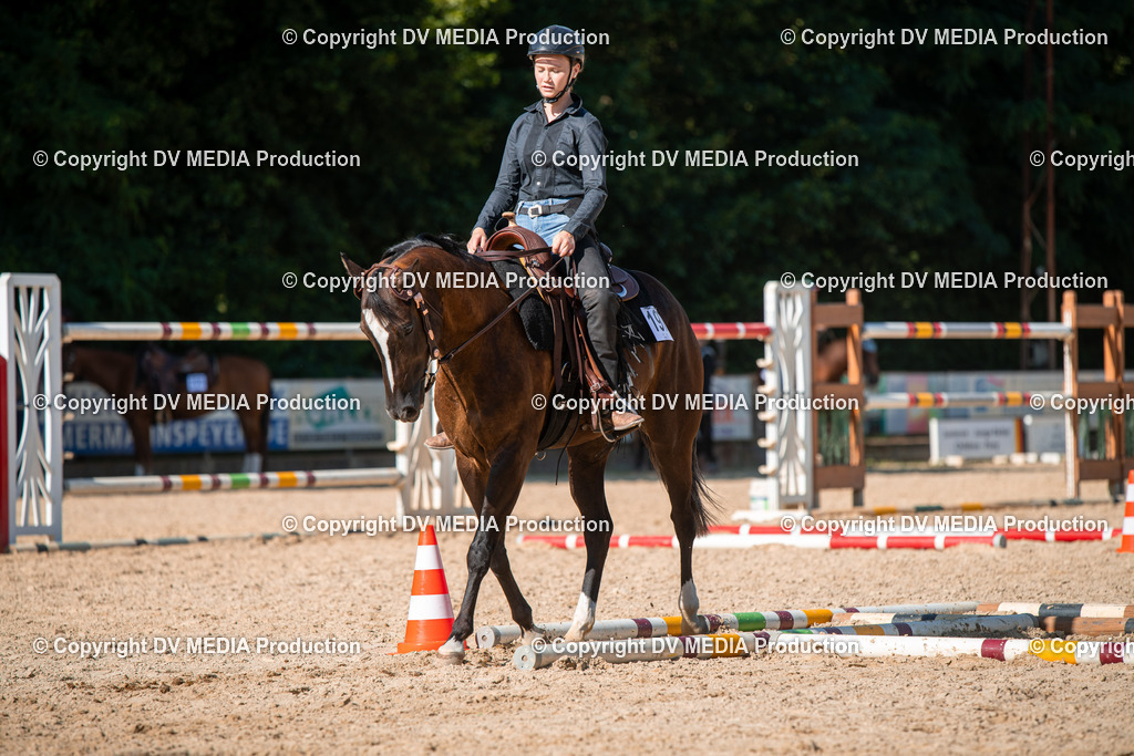 EWP_6976 | dv-media-shop - Realisiert mit Pictrs.com