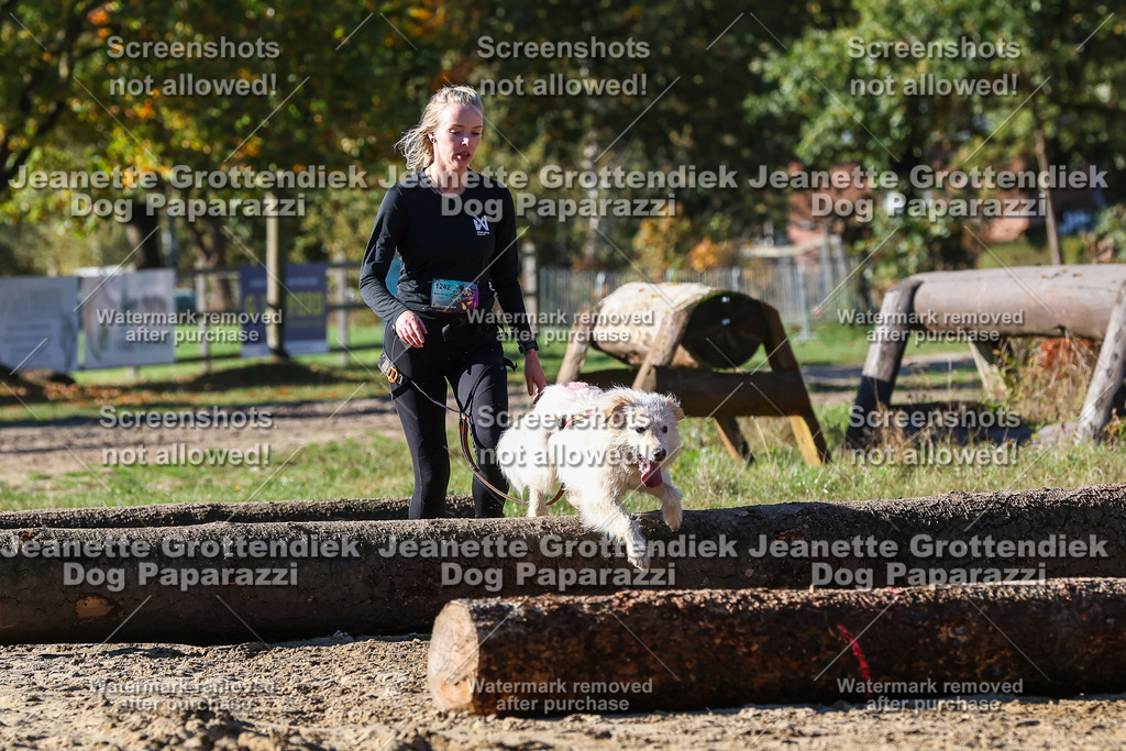 Dog Paparazzi - Strongdog 10-25-2359 | Dog Paparazzi Jeanette Grottendiek Fotografie & Videografie - Realisiert mit Pictrs.com